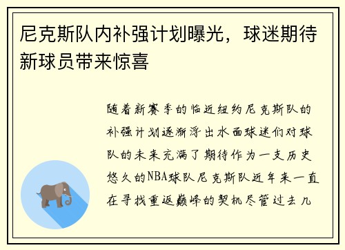 尼克斯队内补强计划曝光，球迷期待新球员带来惊喜